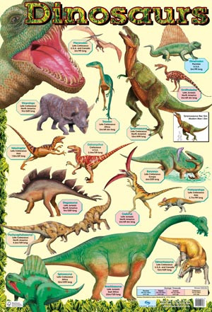 Dinosaur Names Chart