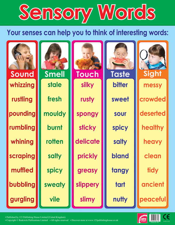 School Posters Sensory Words Literacy Wall Charts For The Classroom Free Delivery UK EU 